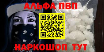 дживик Кингисепп