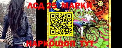 дживик Кингисепп