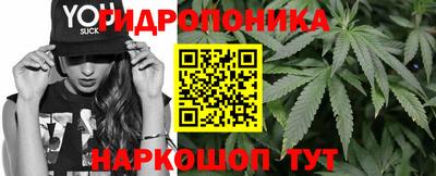 дживик Кингисепп