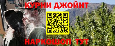 дживик Кингисепп