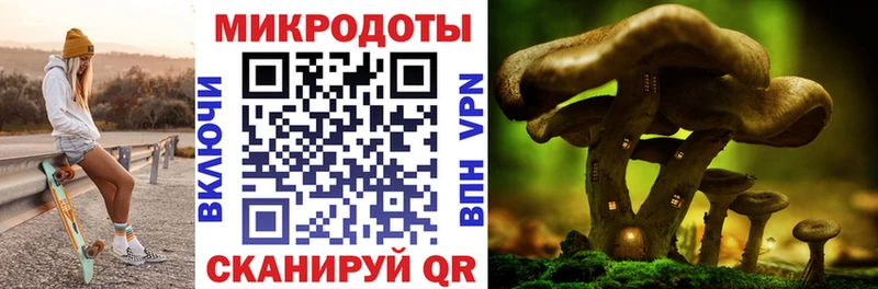 Псилоцибиновые грибы Psilocybine cubensis  цены   нарко площадка телеграм  Магадан 