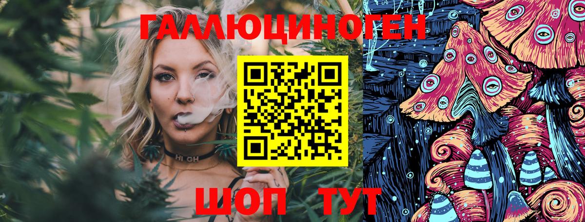 Галлюциногенные грибы Psilocybine cubensis  Магадан  Галлюциногенные грибы мицелий 