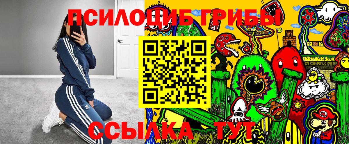 Галлюциногенные грибы Psilocybe  Псилоцибиновые грибы Psilocybine cubensis  Вход с VPN  Магадан 